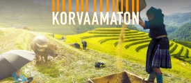 Mitä sinulle korvaamatonta ilmastonmuutos uhkaa?